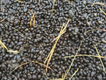 Alpaca Beans Soil Additive