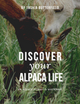 Discover Your Alpaca Life workbook